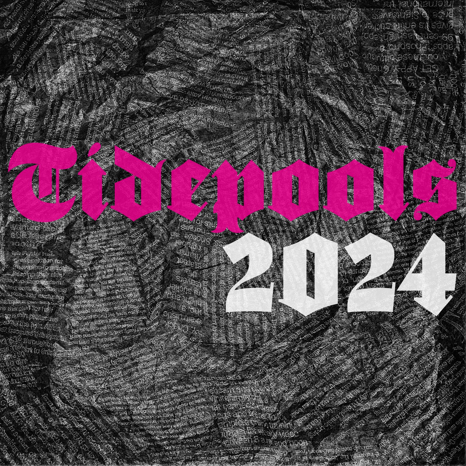 Tidepools 2024